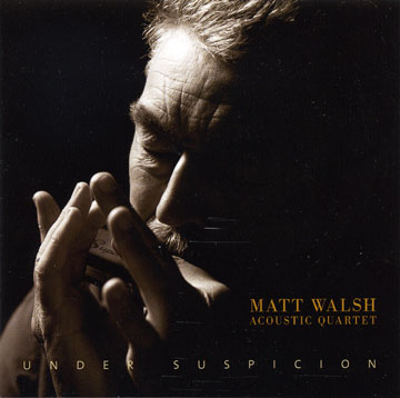 Matt Walsh Acoustic Quartet Under Suspicion
