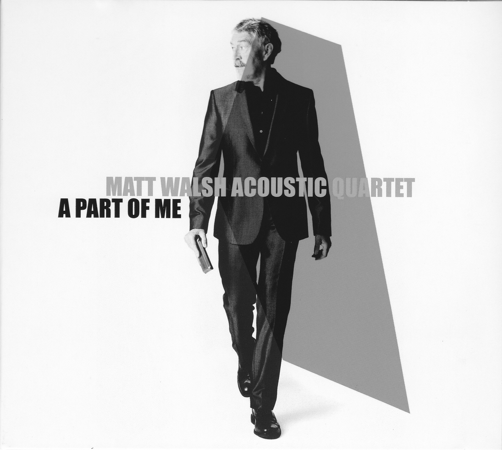 Matt Walsh Acoustic Quartet A Part of Me